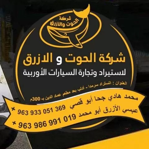 شركة الحوت و الأزرق ( سوريا )